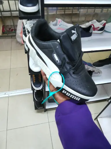 Puma